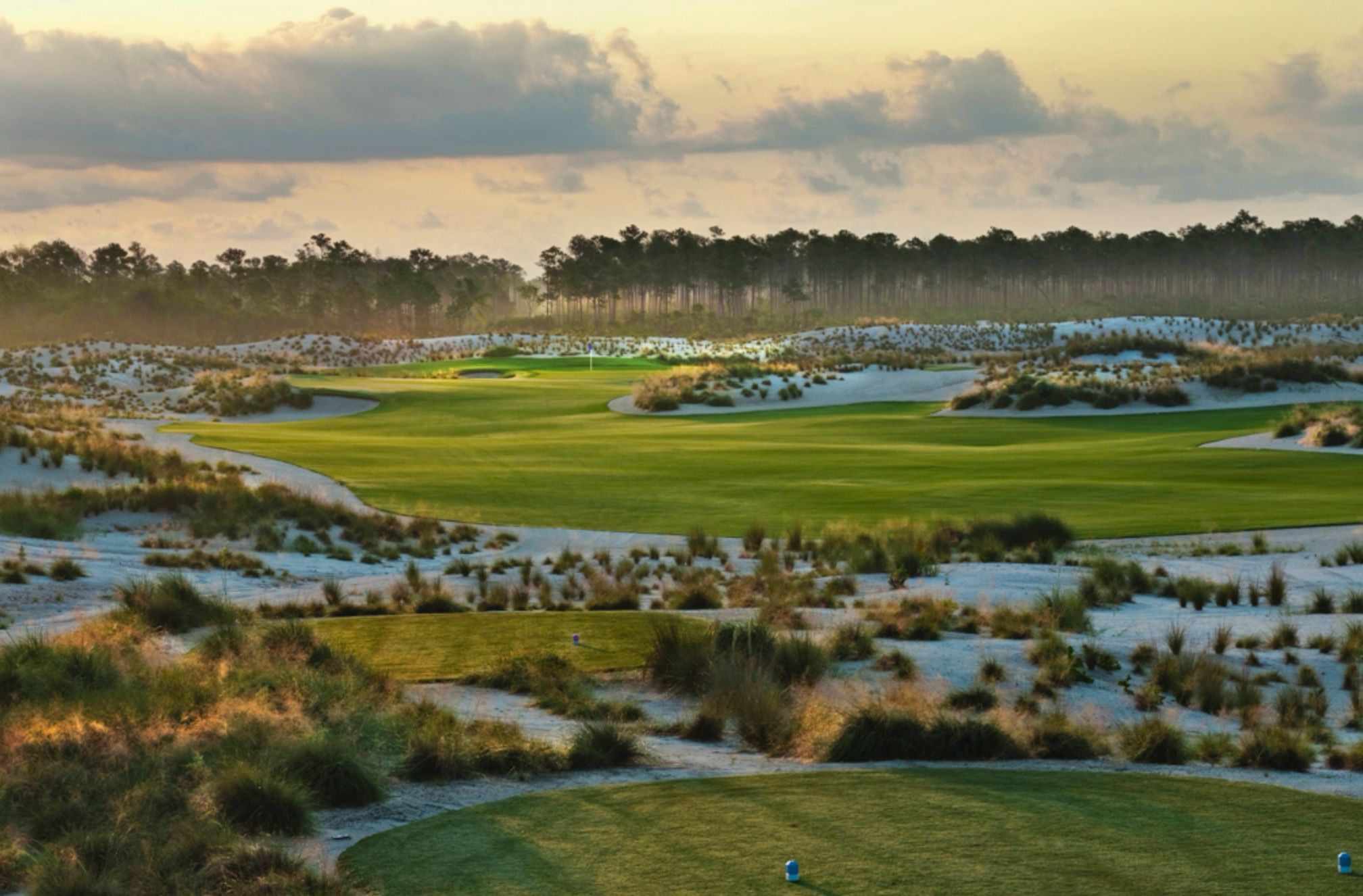 WhatsApp Image 2023-12-20 at 16.45.01