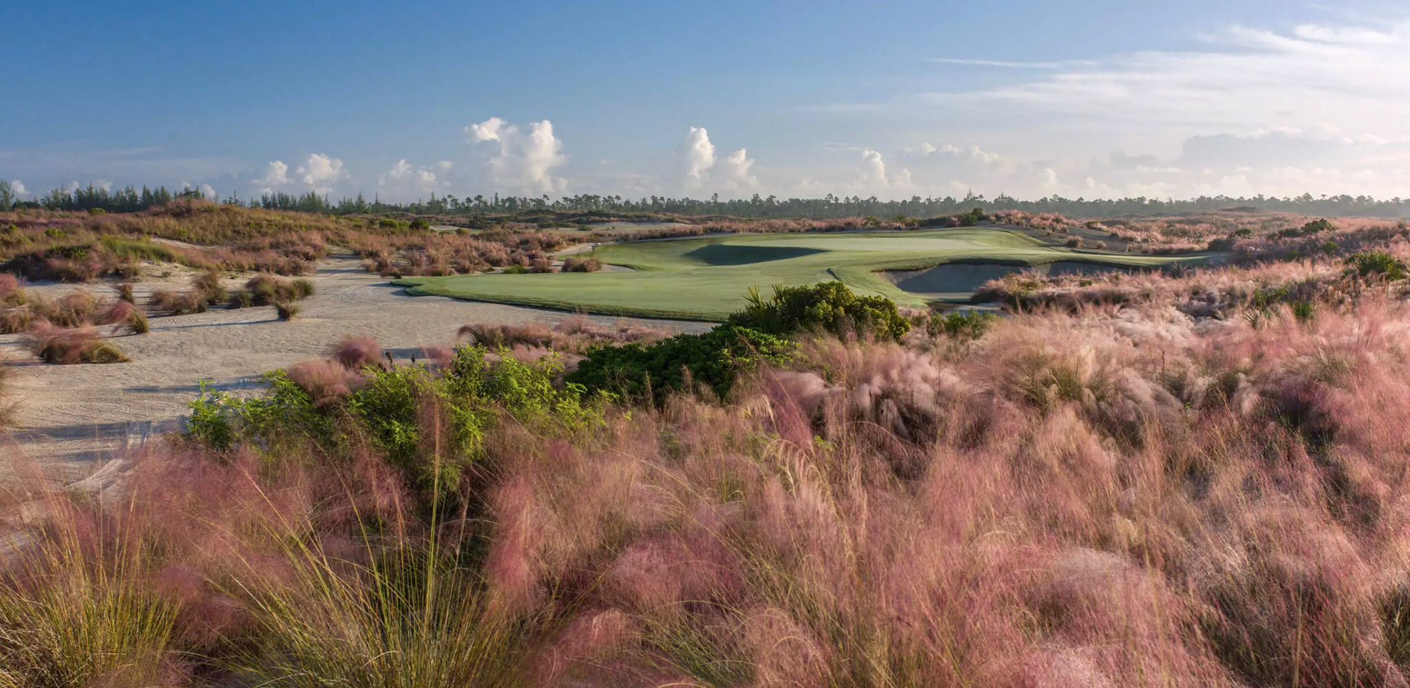 WhatsApp Image 2023-12-20 at 16.45.04